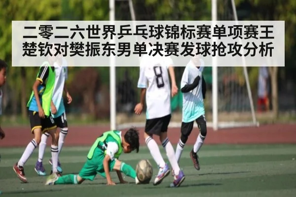 二零二六世界乒乓球锦标赛单项赛王楚钦对樊振东男单决赛发球抢攻分析
